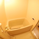 セザール蕨市民公園　浴室